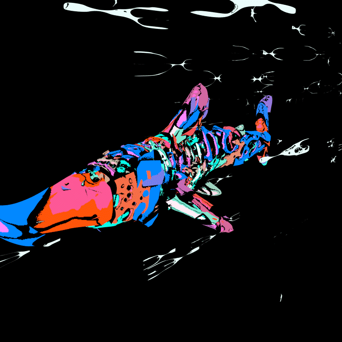 Animated visuals representing Phase 3 Algorand integration